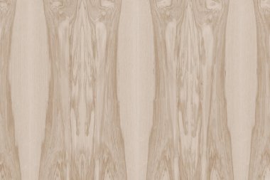 Nükleer dişbudak ahşap Ahşap yapı doku yüzey tahıl arka plan 