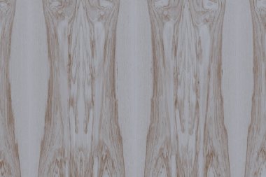 Nükleer dişbudak ahşap Ahşap yapı doku yüzey tahıl arka plan 