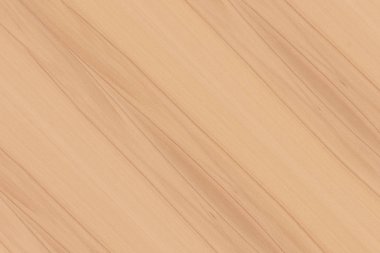 Nükleer dişbudak ahşap Ahşap yapı doku yüzey tahıl arka plan 