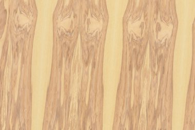 Nükleer dişbudak ahşap Ahşap yapı doku yüzey tahıl arka plan 