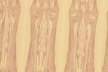 Nükleer dişbudak ahşap Ahşap yapı doku yüzey tahıl arka plan 