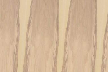 Nükleer dişbudak ahşap Ahşap yapı doku yüzey tahıl arka plan 