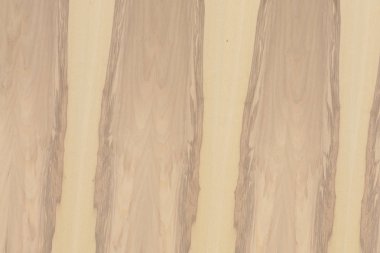 Nükleer dişbudak ahşap Ahşap yapı doku yüzey tahıl arka plan 