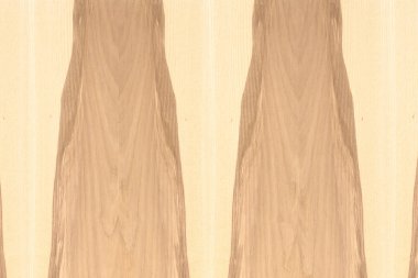 Nükleer dişbudak ahşap Ahşap yapı doku yüzey tahıl arka plan 