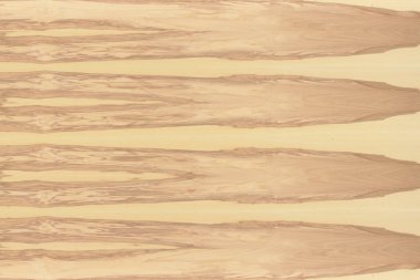 hafif kahverengi dişbudak Kereste ağaç ağaç yapısı doku arka plan zemin