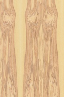 hafif kahverengi dişbudak Kereste ağaç ağaç yapısı doku arka plan zemin