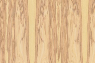 hafif kahverengi dişbudak Kereste ağaç ağaç yapısı doku arka plan zemin