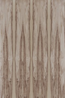 hafif kahverengi dişbudak Kereste ağaç ağaç yapısı doku arka plan zemin