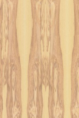 hafif kahverengi dişbudak Kereste ağaç ağaç yapısı doku arka plan zemin