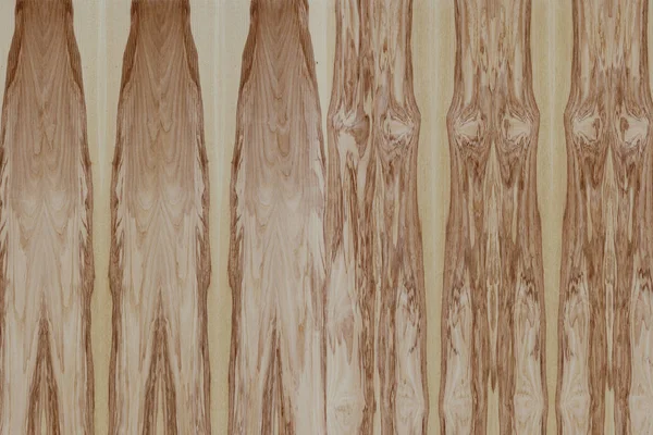 Frassino Marrone Chiaro Legno Albero Struttura Legno Texture Sfondo — Foto Stock