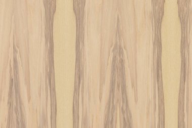 hafif kahverengi dişbudak Kereste ağaç ağaç yapısı doku arka plan zemin