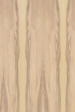 hafif kahverengi dişbudak Kereste ağaç ağaç yapısı doku arka plan zemin