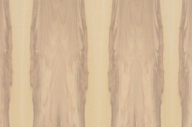 hafif kahverengi dişbudak Kereste ağaç ağaç yapısı doku arka plan zemin