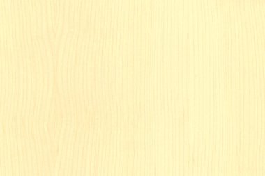 akçaağaç ağaç ahşap duvar kağıdı yapısı yüzey dokusunu arka plan 