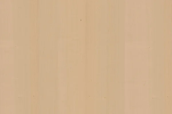 メープル ツリー木製壁紙構造表面のテクスチャ背景 — ストック写真