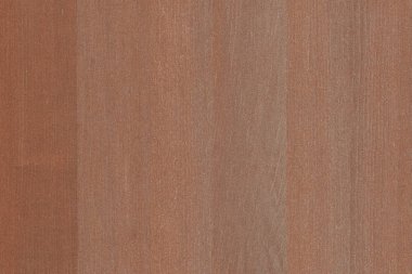 akçaağaç ağaç ahşap duvar kağıdı yapısı yüzey dokusunu arka plan 