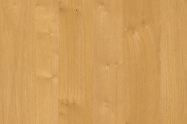 doğal ışık kahverengi meşe ağacı Ahşap ahşap yapı doku zemin yüzeyi