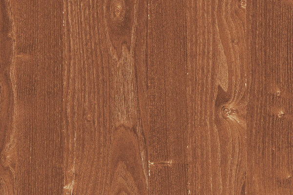 pine tree timber wood wallpaper surface texture background veneer