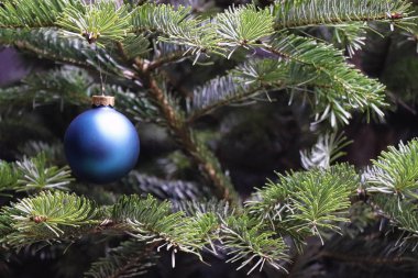 çam Noel ağacı topu x-mas kış renkli topları
