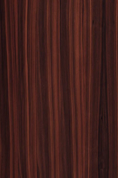 Dark Brown Walnut Timber Tree Wooden Surface Structure Texture Background — Stock Photo, Image