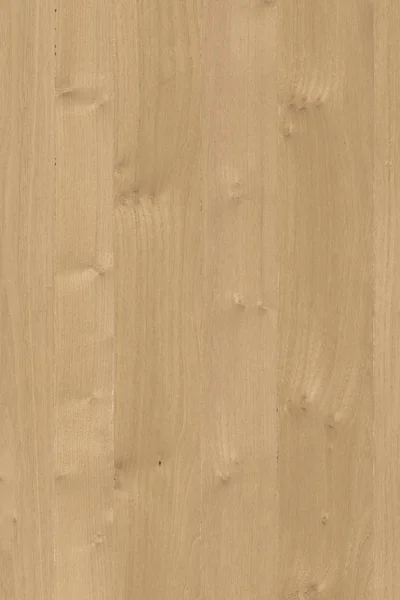 Acacia Madera Árbol Superficie Papel Pintado Estructura Textura Fondo Alto — Foto de Stock