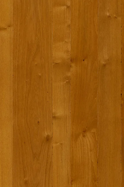 Akazien Holz Baum Oberfläche Tapete Struktur Textur Hintergrund Hohe Größe — Stockfoto