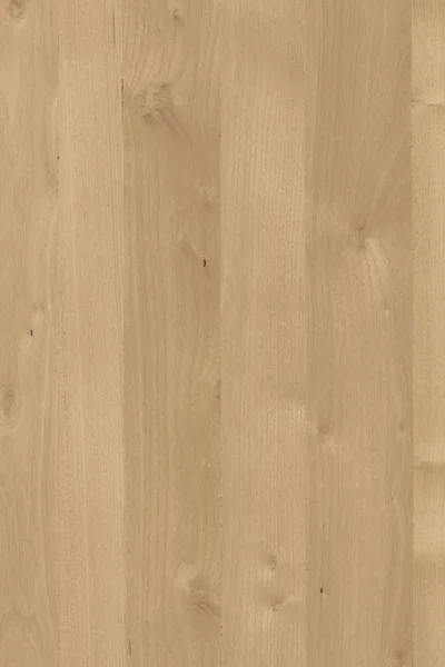 Acacia Madera Árbol Superficie Papel Pintado Estructura Textura Fondo Alto — Foto de Stock