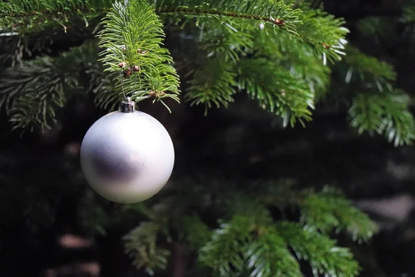 Weihnachtsbaumkugel Weihnachten Winter Bunte Kugeln Kiefer — Stockfoto