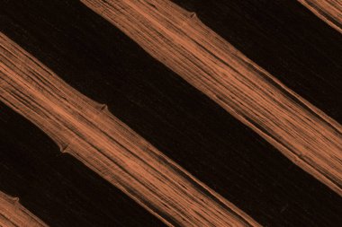 Abanoz Afrika ağaç yapısı doku zemin yüzey duvar kağıdı