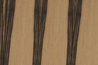 Abanoz Afrika ağaç yapısı doku zemin yüzey duvar kağıdı