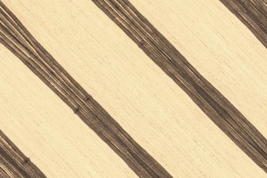 Abanoz Afrika ağaç yapısı doku zemin yüzey duvar kağıdı