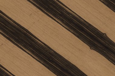 Abanoz Afrika ağaç yapısı doku zemin yüzey duvar kağıdı