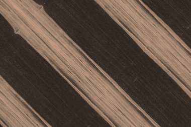 Abanoz Afrika ağaç yapısı doku zemin yüzey duvar kağıdı