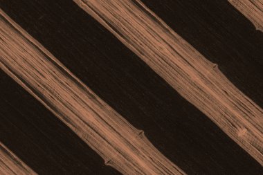 Abanoz Afrika ağaç yapısı doku zemin yüzey duvar kağıdı