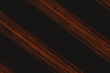 Afrika Abanoz ağacı ahşap yapı doku arka plan duvar kağıdı