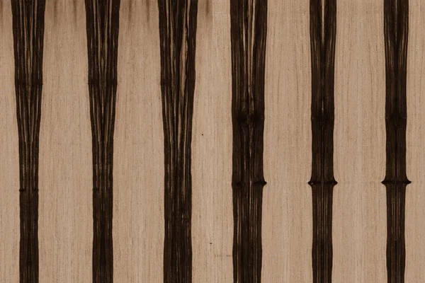 Ébano Africano Árbol Estructura Madera Textura Fondo Papel Pintado —  Fotos de Stock