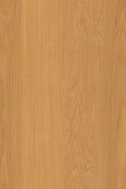 doğal ışık kahverengi meşe ağacı ahşap yüzey yapısı doku arka plan yüksek boyutu