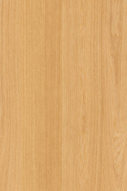 doğal ışık kahverengi meşe ağacı ahşap yüzey yapısı doku arka plan yüksek boyutu