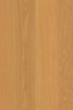 doğal ışık kahverengi meşe ağacı ahşap yüzey yapısı doku arka plan yüksek boyutu