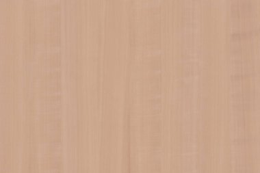 serviceberry Ağaç Kereste ağaç yapısı doku arka plan duvar kağıdı zemin