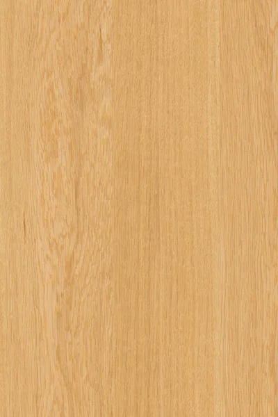 自然光ブラウン オーク ツリー木製表面構造テクスチャ背景高いサイズ — ストック写真