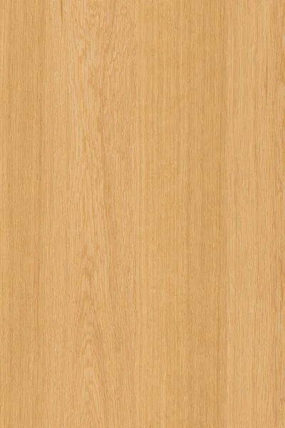 Přírodní Světle Hnědý Dub Povrchové Struktury Dřeva Textury Pozadí Vysoké — Stock fotografie