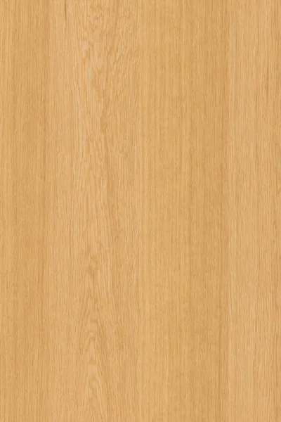 Naturalne Światło Brązowy Dębu Drewna Struktura Powierzchni Tekstury Tło Wysoki — Zdjęcie stockowe