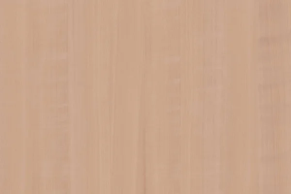 Сервисно Ягодное Дерево Дерева Дерева Структуры Дерева Текстуры Фона Обои — стоковое фото
