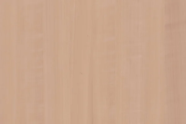 Serviceberry ツリー木材木構造テクスチャ背景の壁紙の背景 — ストック写真