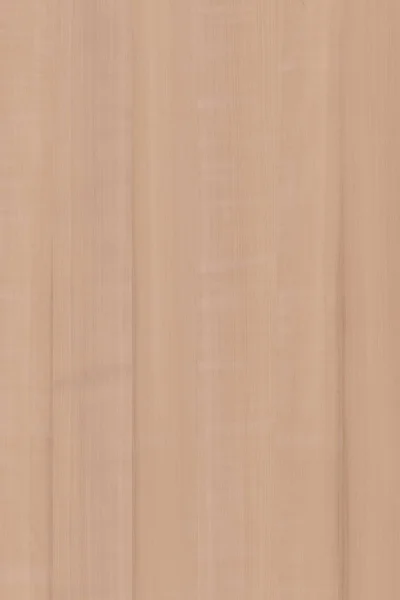 Muchovník Strom Dřevo Struktury Dřeva Textury Pozadí Tapety Pozadí — Stock fotografie