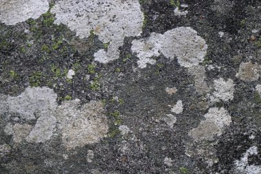 eski vintage grunge Çimento-beton sanayi tuğla duvar arka plan duvar kağıdı yüzey zemin