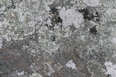 eski vintage grunge Çimento-beton sanayi tuğla duvar arka plan duvar kağıdı yüzey zemin