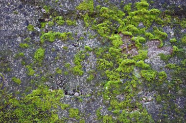 eski vintage grunge Çimento-beton sanayi tuğla duvar arka plan duvar kağıdı yüzey zemin