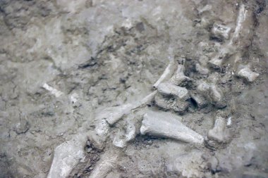 eski vintage grunge Çimento-beton sanayi tuğla duvar arka plan duvar kağıdı yüzey zemin